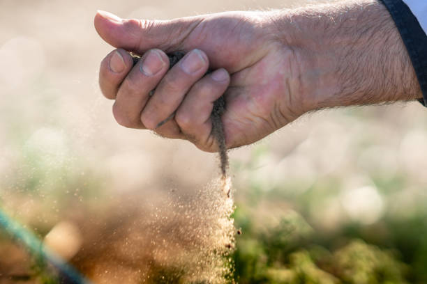 sifting and pouring dirt at field