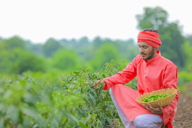 istockphoto 1288943985 612x612